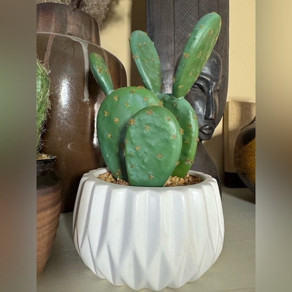Faux cactus cacti set Decor - Picture 4 of 14